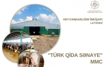 “Türk Qida Sənaye” şirkəti heyvandarlığın inkişafı layihəsi üzrə - GÜZƏŞTLİ KREDİT ALDI | FED.az