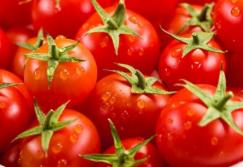 Azərbaycanda pomidor istehlakı - AZALIB