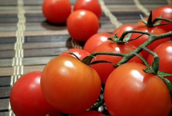 Azərbaycan pomidoru Rusiyada yaxşı satılır