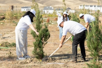 “AzInTelecom” Ağdamda ağacəkmə aksiyası keçirib