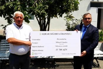 Göygöl və Samux fermerlərinə 20 min manata yaxın aqrar sığorta ödənişləri edilib