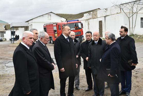 Prezident yanğın baş verən ərazidə - FOTO