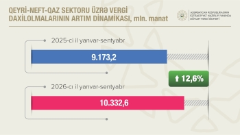 Qeyri-neft-qaz sektorundan vergi daxilolmaları 12,6% artıb | FED.az