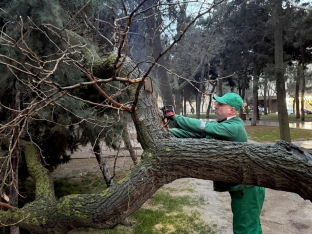 BŞİH: Bakıda intensiv yağışlar fəsadlar törədib, qurumlar gücləndirilmiş rejimdə işləyir - FOTOLAR | FED.az