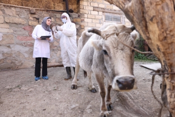 Проект «Поддержка аграрного развития в Дашкесанском и Гёйгёльском районах» успешно продолжается | FED.az