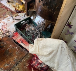 "8-ci km" bazarında quş kəsimi yeri bağlandı - FOTOLAR | FED.az