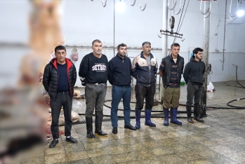 Bakıda anbarda 2 ton yararsız ət aşkarlanıb, 6 nəfər saxlanılıb - VİDEO