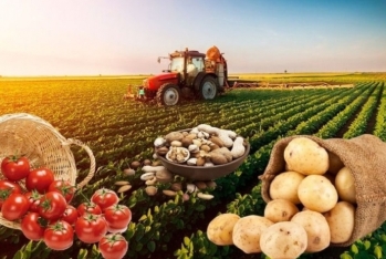 Məcnun Məmmədov: "Azərbaycan məhsullarının Avropaya ixracı üçün sertifikatlaşdırma xərcləri maliyyələşdiriləcək"