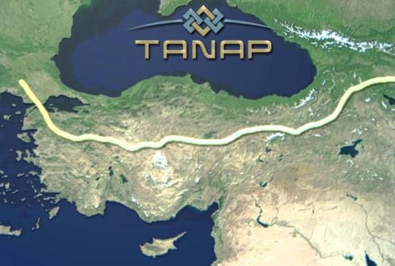 "SOCAR Turkey Enerji" TANAP-dan pay aldı