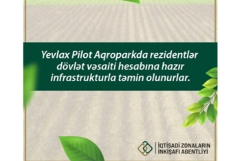 Yevlax Pilot Aqroparkda sahibkarlar infrastrukturla tam təmin edilirlər