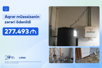 Aqrar biznesə sığorta dəstəyi: “PAŞA Sığorta” 280 min manata yaxın zərəri ödədi