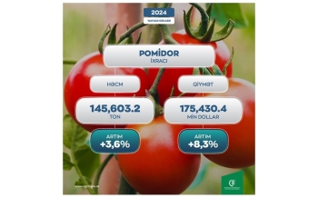 Azərbaycandan pomidor ixracında 3,6% artım qeydə alınıb - 175 MİLYON DOLLAR GƏLİR | FED.az