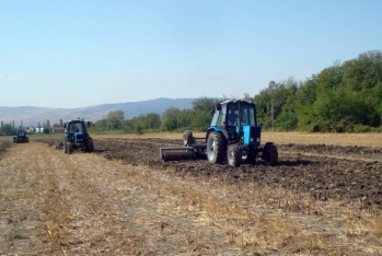 Mülkiyyətindəki torpaqlarda çalışanlar üçün sosial sığorta haqları artırılacaq