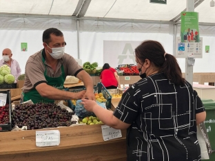 Bakı və Abşeronda “Kənddən Şəhərə” yarmarkaları - Təşkil Olunacaq - Ünvanlar | FED.az