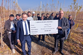 Azərbaycanda ilk dəfə meyvənin dəyərinin azalması üzrə aqrar sığorta ödənişi edilib