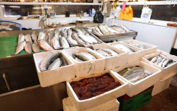 "8-ci km" bazarında quş kəsimi yeri bağlandı - FOTOLAR | FED.az