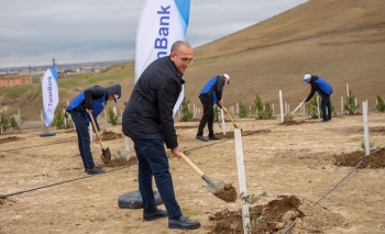 ТуранБанк организовал акцию по посадке деревьев | FED.az