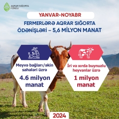 Aqrar Sığorta Fondunun fermerlər və təsərrüfatlara - SIĞORTA ÖDƏNİŞLƏRİ 2 DƏFƏ ARTIB | FED.az