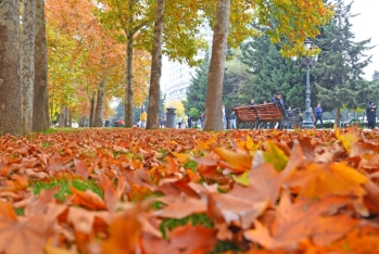 22 dərəcə isti - SABAHIN HAVA PROQNOZU