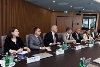Türk iş adamları gömrükdə qarşılaşdıqları - MƏSƏLƏLƏRİ AÇIQLADILAR | FED.az