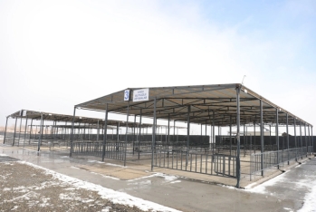 Ağcabədi heyvan bazarı açıldı