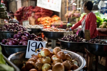 Yaponiyada tərəvəzlərdə rekord qiymət artımı - Kələmin qiyməti 6,43 dollar