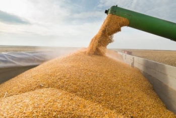 “Qarabağ Taxıl”ın nizamnamə kapitalından 4 milyon manata yaxın götürüldü