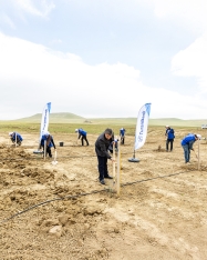 TuranBank-dan “Yaşıl gələcəyə” növbəti addım: [red]1 MİLYON AĞAC HƏDƏFİ[/red] | FED.az