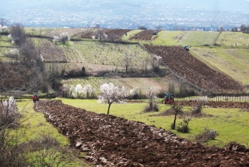 Gürcüstanda azərbaycanlılara məxsus torpaq sahələri məcburi müsadirə olunacaq