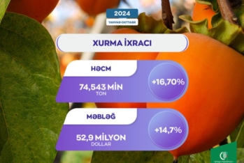 Azərbaycandan xarici bazarlara xurma ixracı 167% artıb