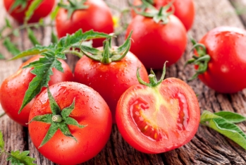 Rusiya Azərbaycandan 52 tondan çox pomidorun idxalına - İcazə Verməyib