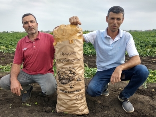 Qiymətlər 1 manat ətrafında dəyişir - Ukrayna, Rusiya, Belarus, Qazaxıstan və Gürcüstana göndərilir  - FOTOLAR | FED.az