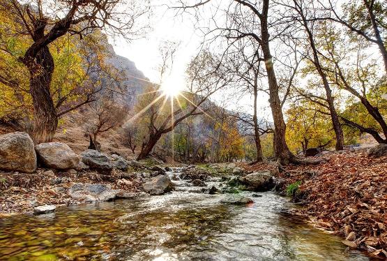 Sabaha olan hava məlumatı - AÇIQLANDI