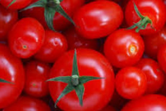 Azərbaycanın pomidor ixracından gəliri – AÇIQLANDI