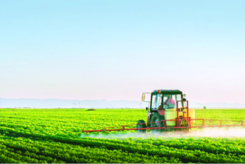 "Agro Point" işçi axtarır - MAAŞ 800-1200 MANAT - VAKANSİYA