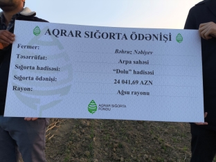 Dolu arpa sahəsinə zərər vurdu, 24 min manat aqrar sığorta ödənişi aldı - FOTOLAR | FED.az