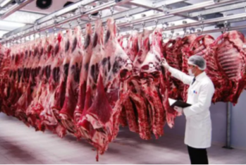 Azərbaycana ən ucuz ət hansı ölkədən gətirilir? – KİLQOQRAMI 5,2-5,5 MANAT – SİYAHI, QİYMƏTLƏR