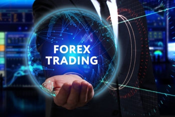 Türkiyədə «Forex dələduzluğu»na qarşı əməliyyat keçirilib, 100-dən çox şəxs saxlanılıb