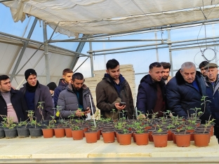 Müstəqil aqrar sığorta eksperti olmaq istəyənlər üçün təlimlər keçirilib - FOTOLAR | FED.az