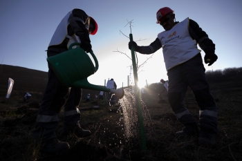 “AzerGold” QSC tərəfindən “Zəfər Günü” münasibətilə Göygöl və Daşkəsən rayonlarında ağacəkmə aksiyaları təşkil edilib | FED.az