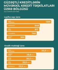 Ən çox güzəştli kredit verən banklar - MƏLUM OLDU - SİYAHI, MƏBLƏĞLƏR | FED.az