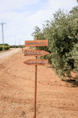 Trendyolmilla ilkə imza atıb: Regenerativ pambıqdan cins kolleksiyası - [red]FOTOLAR[/red] | FED.az