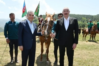Azərbaycan Prezidenti İlham Əliyevə “Axaltəkə” atı hədiyyə edilib