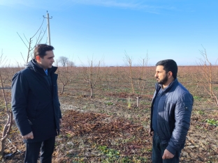Aqrar Sığorta Fondunun sədri Ağsuda vətəndaşların müraicətlərini dinləyib, təsərrüfatlara baş çəkib | FED.az