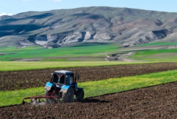 Правительство Азербайджана увеличит субсидии фермерам в связи с повышением цен на дизтопливо