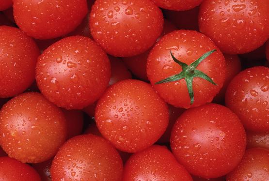 Azərbaycan Rusiya üçün əsas pomidor ixracatçılarından biridir