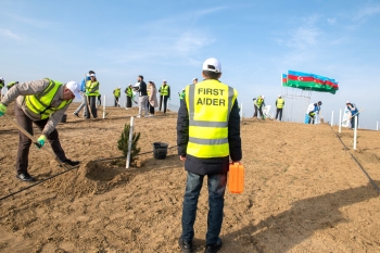 SOCAR Midstream ağacəkmə aksiyası keçirib - FOTOLAR | FED.az