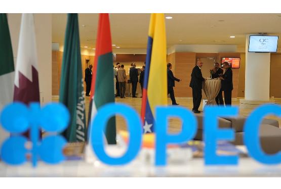 OPEC-ə yeni üzv ölkələrin qəbulu üçün danışıqlar aparılır