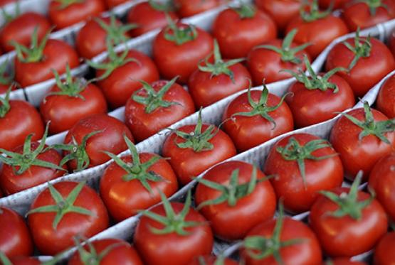 Rusiya Azərbaycan pomidorlarını ölkəyə buraxmayıb