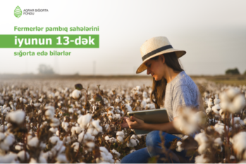 Pambıq sahələrinin sığortası iyunun 13-dək davam edəcək
